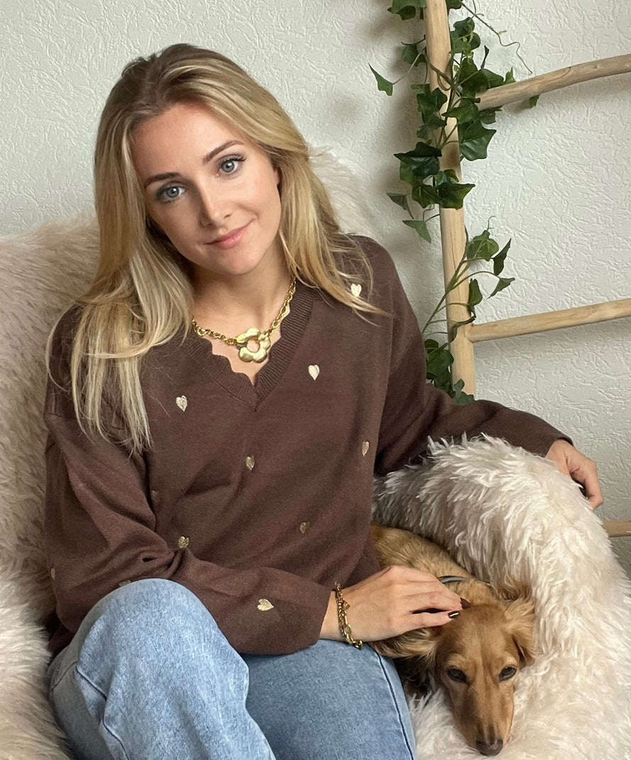 Clara Cocoa V-Neck 🌰