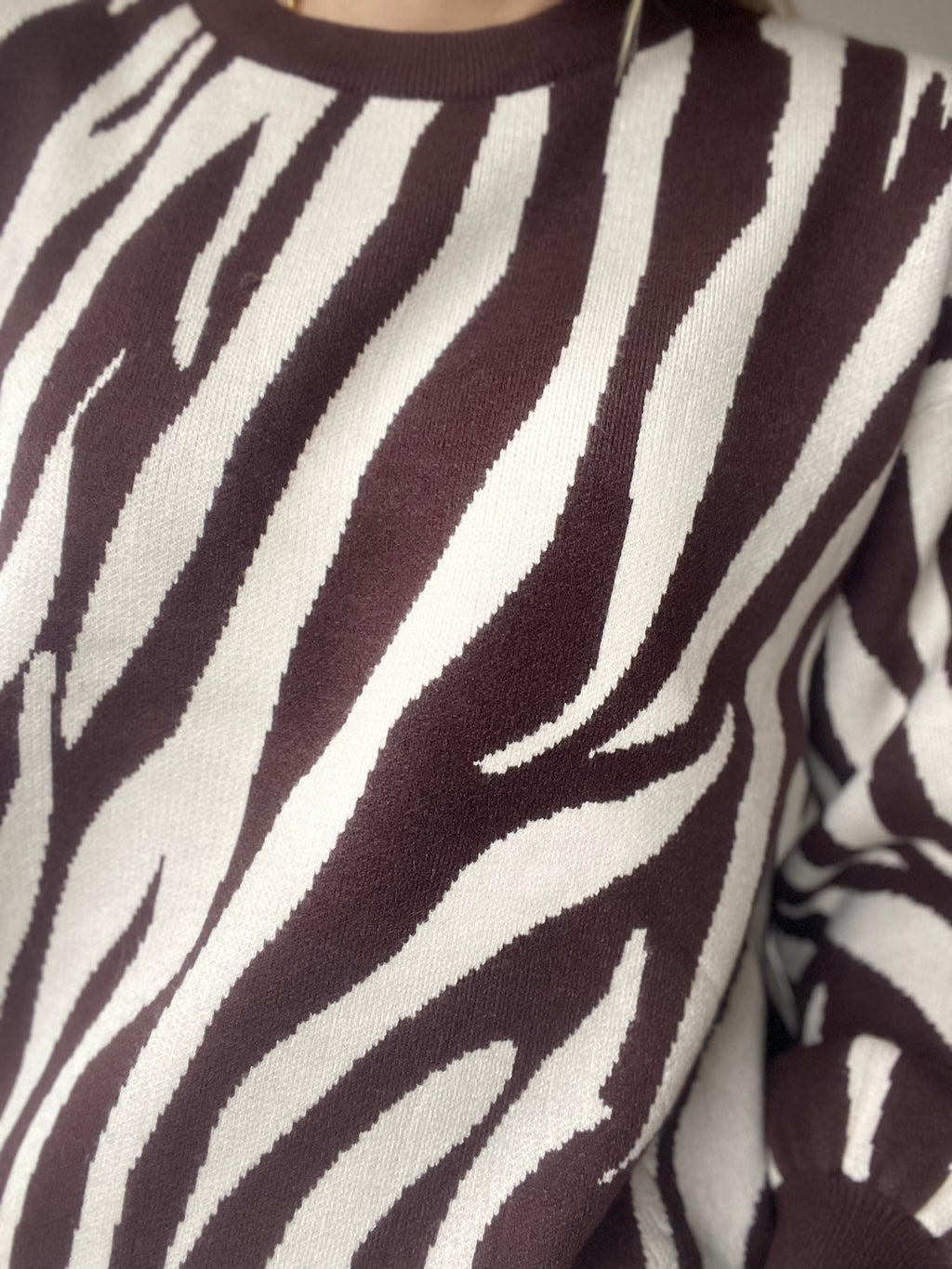 Ziva Zebra Sweater 🦓🤎